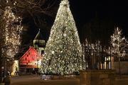 Marché Médiéval de Noël à Provins 2022