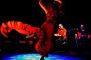 Show flamenco lyon