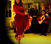 Compagnie Flamenco La Tomillo