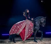 Les Écuries IRSEA - Real Horse - Cabaret Equestre