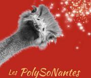 Les PolySoNantes