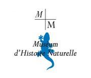 Musum D'Histoire Naturelle Marseille