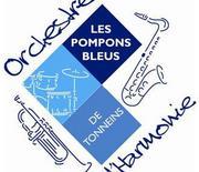 Pompons Bleus de Tonneins