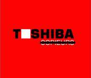 Toshiba house