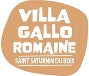 Villa Gallo-Romaine