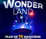 Wonderland, Le Spectacle