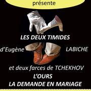 Les deux timides
