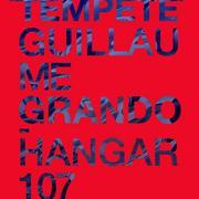 Tempête Guillaume Grando