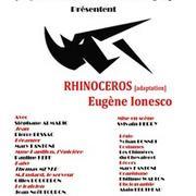 Rhinocéros