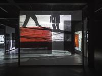 Exposition Cécile Bart, Effet d'hiver