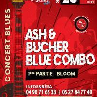 Ash & Bucher Blue Combo et Bloom (1ère partie)