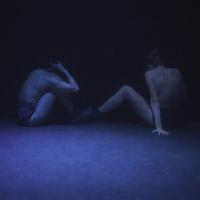 Bleu - La Zampa