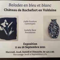 Exposition Balade en bleu et blanc