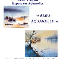 D'aquarelles