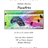 Exposition /Vente de PuceArts