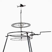 Il y a des oiseaux dans l'aquarium