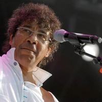 Laurent Voulzy En Concert