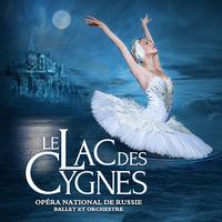 Le Lac Des Cygnes - Report