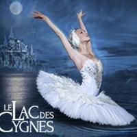 Le Lac Des Cygnes