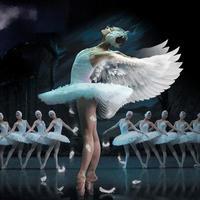 Le Lac Des Cygnes - Ballet & Orch - Le Lac Des Cygnes