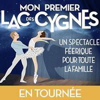 Mon Premier Lac Des Cygnes