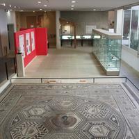 Visite Libre Des Collections Du Musée