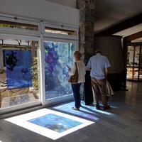 Visite Libre Des Collections Permanentes