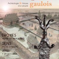 Les Sénons. Archéologie et Histoire d'un peuple gaulois