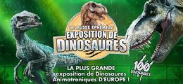 Le Muse phmre des dinosaures Tour 2025