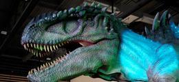 Le muse phmre: exposition de dinosaures  Reims