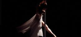 LiNa de Lolita DEL PINO - Performance Musique & Danse Flamenco