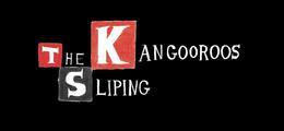 The Sliping Kangooroos Charleville Mezieres