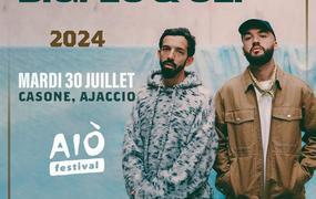 Concert Bigflo et Oli