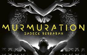 Spectacle Murmuration Sadeck Berrabah