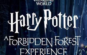 Spectacle Harry Potter : L'Exprience en Fort Interdite