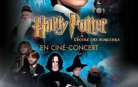 Spectacle Harry Potter à L'école Des Sorciers : Ciné Concert - report
