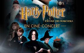 Spectacle Harry Potter À L'école Des Sorciers En Ciné-concert - Report