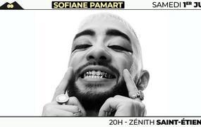 Concert Sofiane Pamart et Nach