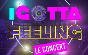 I Gotta Feeling - Le Concert