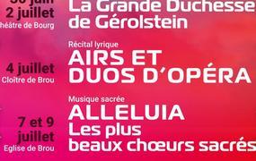 Concert Airs et Duos d'Opra, Rmy Poulakis et Sarah Laulan