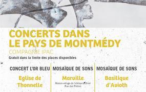 Concert Le chant polyphonique s'invite dans le Pays de Montmédy