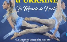 Spectacle Le fabuleux cirque national d'ukraine, le miracle de noel