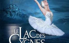 Spectacle Le Lac Des Cygnes International Festival Ballet