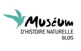 Musum D'Histoire Naturelle Blois