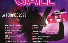 Concert Spectacul'Art chante France Gall