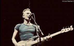 Concert Sting - report