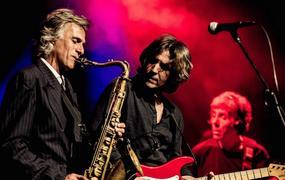 Concert The Dire Straits Experience
