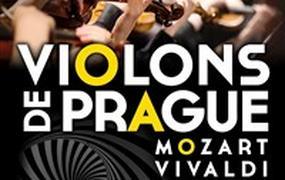 Concert Violons de Prague