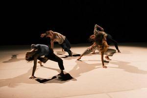 Danse dans les Deux-Sèvres les meilleurs spectacles de danse en 2023 et 2024