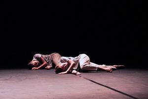 Danse dans l'Ille-et-Vilaine les meilleurs spectacles de danse en 2024 et 2025